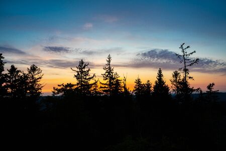 Beautiful sunrise over the spruce forestの写真素材