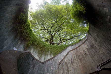 fort canning park