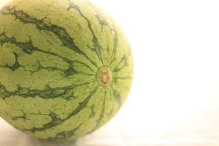 watermelon with copy spaceの写真素材