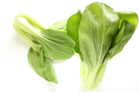 Chinese green leaf vegetable on white backgroundの写真素材