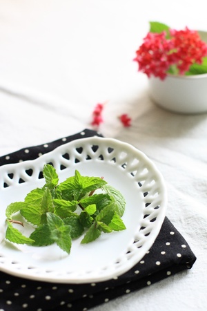 Mint on white dish with flower on backgroundの写真素材