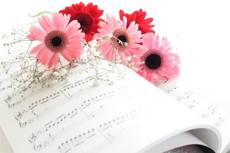 elegant pink and red gerbera on music bookの写真素材