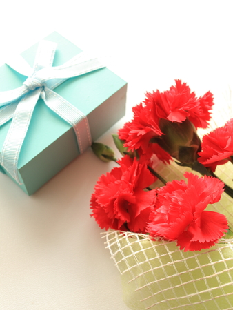 red carnation and blue gift with ribbon for Mother s day imageの写真素材