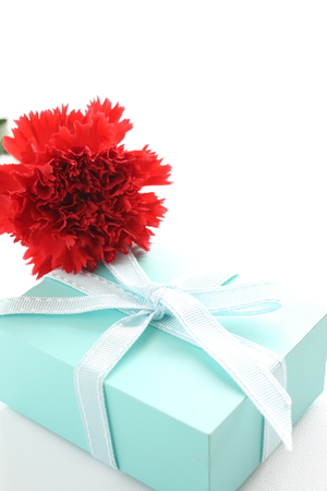 red carnation and blue gift with ribbon for Mother s day imageの写真素材
