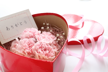 Pink carnation with thank you card for mother s day imageの写真素材