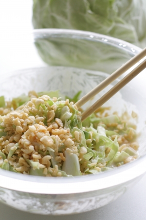 Chinese cooking, gyozaの写真素材