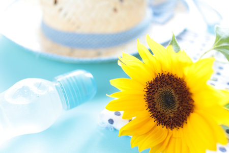 Sunflower and soda drink summer imageの写真素材