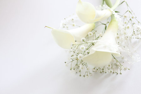 Elegant calla and baby breath on white backgroundの写真素材