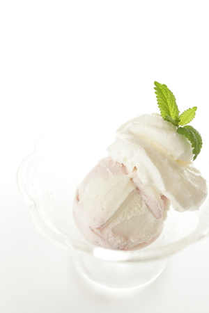 Vanilla ice-cream with mint on topの写真素材