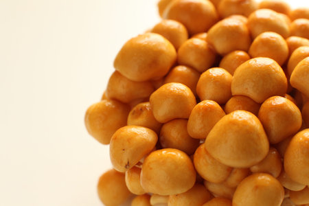 Japanese autumn vegetable, Nameko mushroomの写真素材