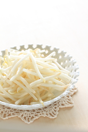 asian food ingredient, soy bean sproutの写真素材
