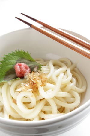 Japanese summer  food, cold udon noodles with pickled plumの写真素材