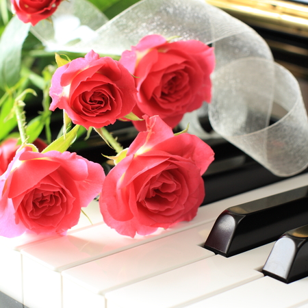 red roses bouquet on piano keyboradの写真素材