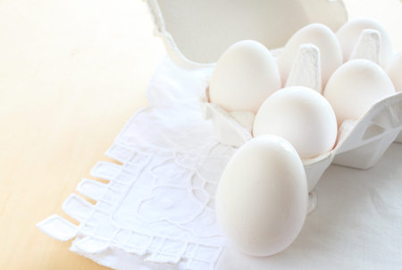 white egg in carton with copy space