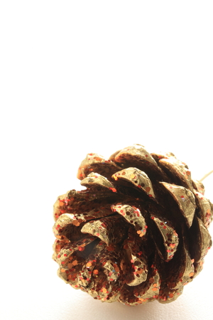 close up of conifer conepineconeの写真素材