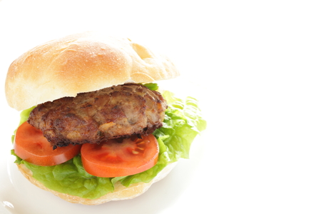 homemade hamburgerの写真素材