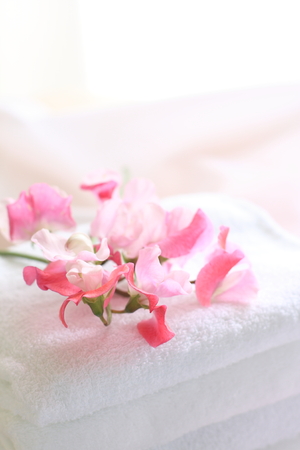 sweet pea on towelの写真素材