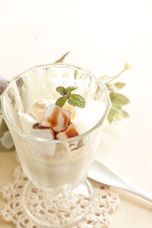 ice cream with Philipine food nata de cocoの写真素材