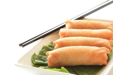 homemade spring roll