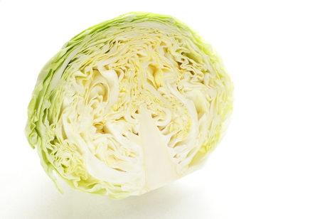 cabbage from Japanの写真素材