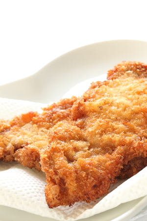 Homemde Tonkatsu Japanese pork cutletの写真素材