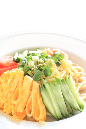 Japanese summer cuisine, HiyashiChuka cold noodlesの写真素材