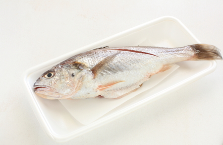 fish on food containerの写真素材