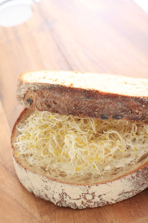 sprout sandwich