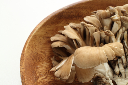 Japanese mushroom, Maitakeの写真素材