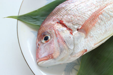 freshness prepared sea bream