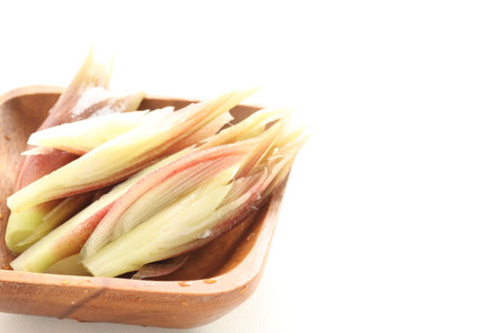 Japanese herbel myoga gingerの写真素材