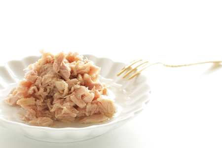 Canned food, tuna on dishの写真素材