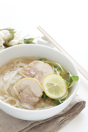 Vietnamese food, chicken and rice noodles