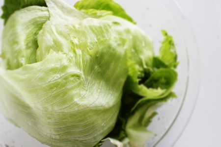 Freshness lettuce in bowl for prepared food imageの写真素材