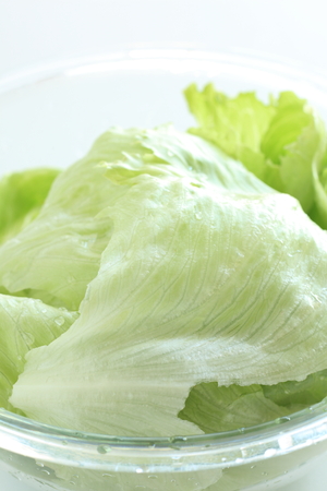 Freshness lettuce in bowl for prepared food imageの写真素材
