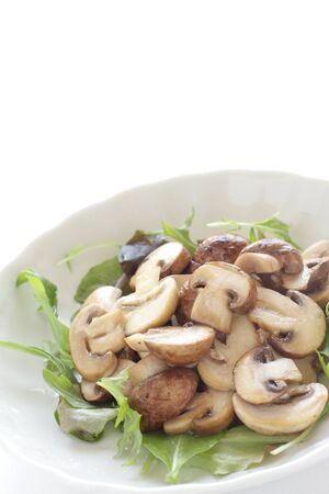 Chinese food, brown and white mushroom stir friedの写真素材