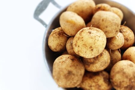 Freshness new potato from Japanの写真素材