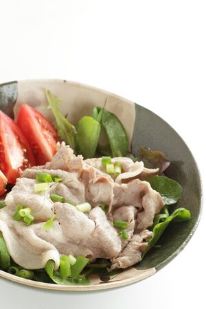 Japanese food, reishabu boiled pork and tomato saladの写真素材