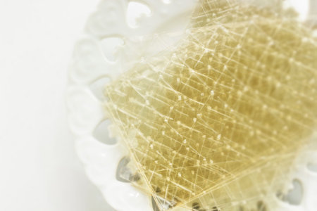 Gelatin sheet on dish for cooking ingredient imageの写真素材