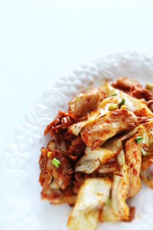 Korean food, Chicken and cabbage stir fried with Kimchiの写真素材