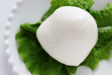 mozzarella cheese on lettuce with copy space
