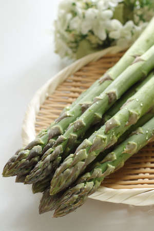freshness green asparagus for healthy ingredientの写真素材