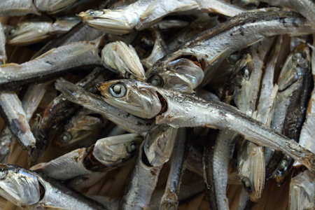 Japanese food ingredient, dried small sardines Niboshi for broth Dashi cookingの写真素材