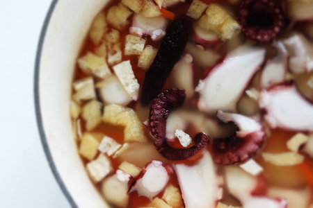 Japanese cooking, octopus and tofu in broth and riceの写真素材