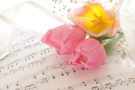pink flower and musical score for music gathering imageの写真素材