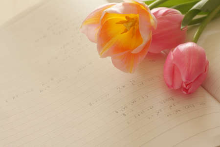 pink flower and homemade note for study imageの写真素材