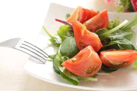 tomato and baby leaves salad for healthy food imageの写真素材