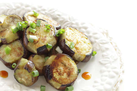 Chinese food, grilled eggplant served with soy sauce and green onionの写真素材
