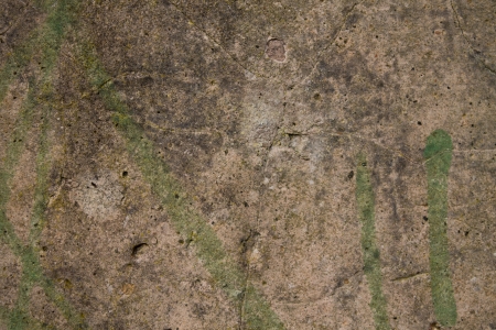 Vintage concrete wall texture in detailの写真素材