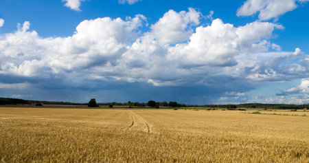 Finnish countryside and farmlands during sunny weather in the summer